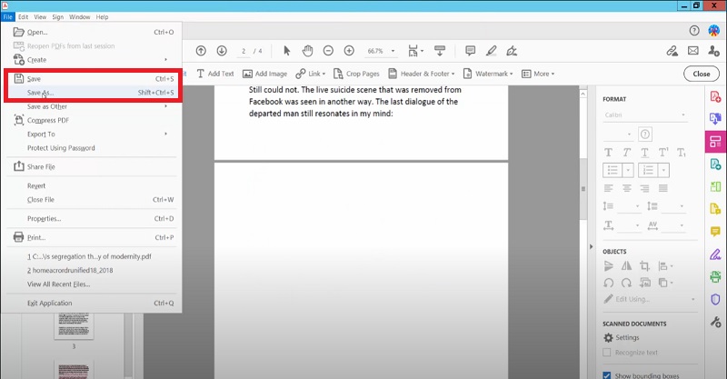 save the pdf file