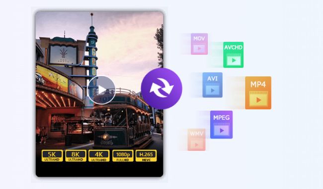support many video formats