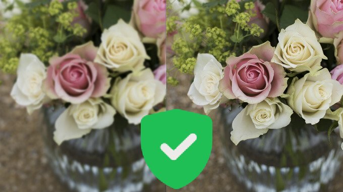 secure image processing