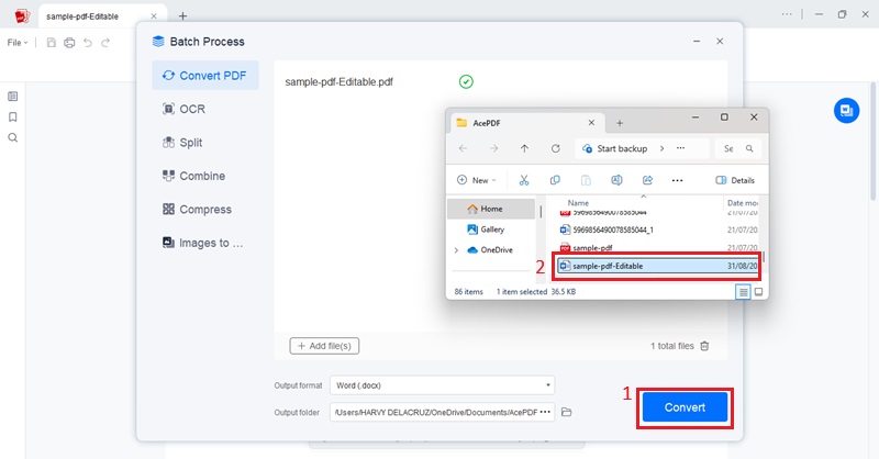 start conversion and check results