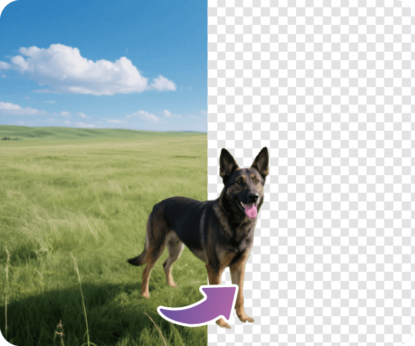 one click background removal